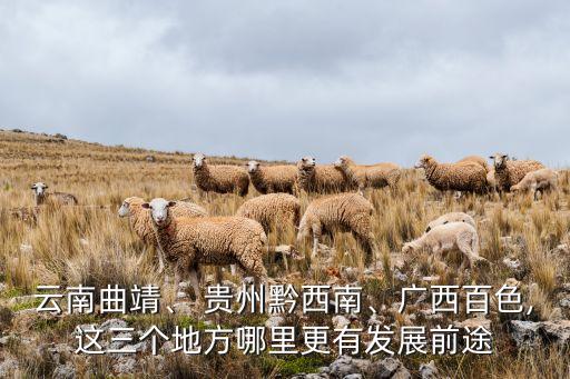 云南曲靖、 貴州黔西南、廣西百色,這三個地方哪里更有發(fā)展前途