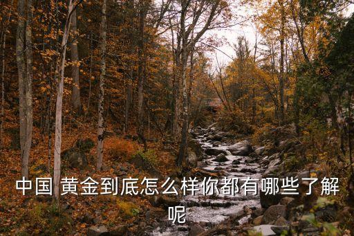 中國(guó) 黃金到底怎么樣你都有哪些了解呢