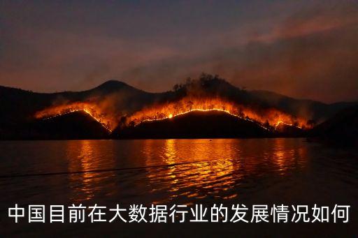 2013年中國互聯網行業(yè)投資分布