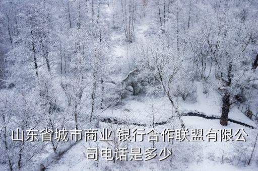 山東省城市商業(yè) 銀行合作聯盟有限公司電話是多少