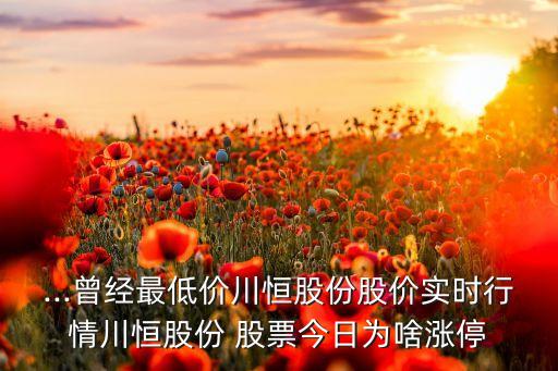 ...曾經最低價川恒股份股價實時行情川恒股份 股票今日為啥漲停