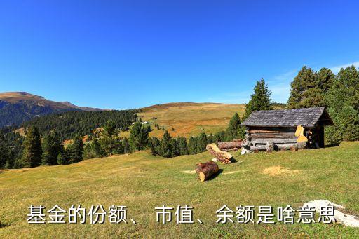  基金的份額、 市值、余額是啥意思