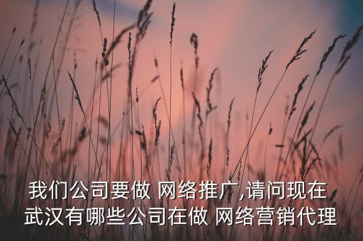 我們公司要做 網絡推廣,請問現在 武漢有哪些公司在做 網絡營銷代理