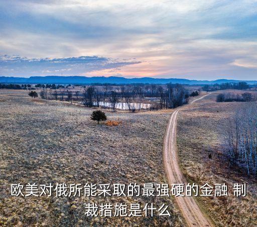 歐美對俄所能采取的最強(qiáng)硬的金融 制裁措施是什么
