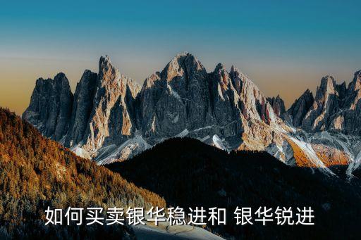 如何買(mǎi)賣(mài)銀華穩(wěn)進(jìn)和 銀華銳進(jìn)