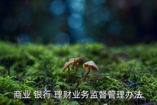 商業(yè) 銀行 理財業(yè)務監(jiān)督管理辦法