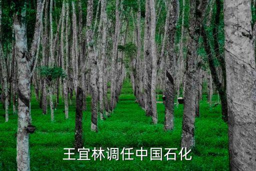 王宜林調任中國石化