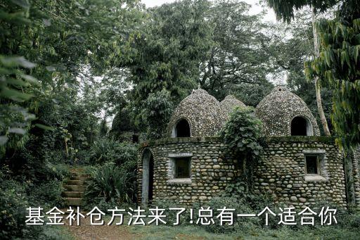  基金補(bǔ)倉方法來了!總有一個適合你
