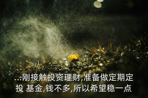 ...剛接觸投資理財(cái),準(zhǔn)備做定期定投 基金,錢(qián)不多,所以希望穩(wěn)一點(diǎn)