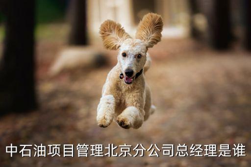 中石油項目管理北京分公司總經理是誰