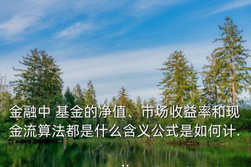 金融中 基金的凈值、市場收益率和現(xiàn)金流算法都是什么含義公式是如何計(jì)...