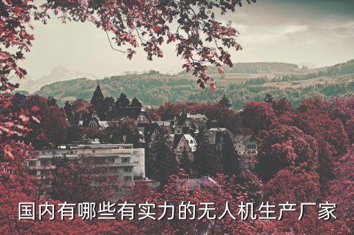 國內(nèi)有哪些有實(shí)力的無人機(jī)生產(chǎn)廠家