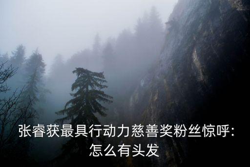 張?；饦I(yè)績,2022基金業(yè)績排行榜