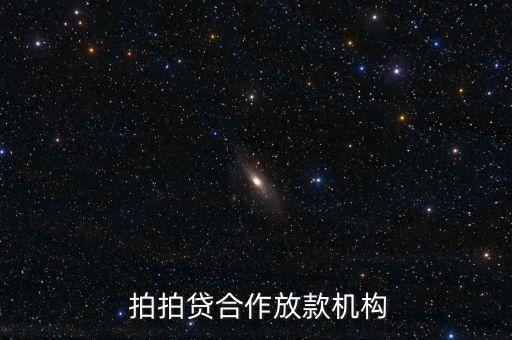  拍拍貸合作放款機構(gòu)