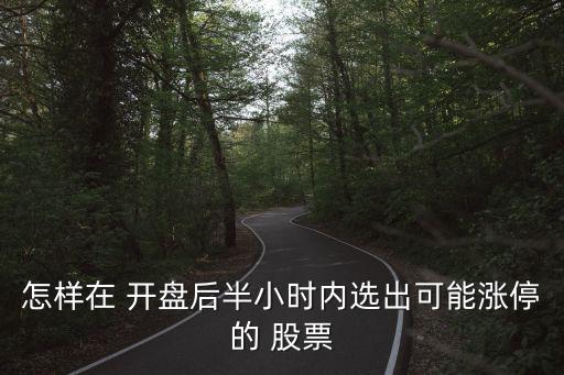 怎樣在 開(kāi)盤后半小時(shí)內(nèi)選出可能漲停的 股票