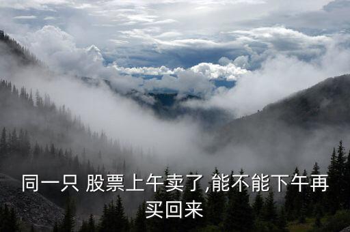 同一只 股票上午賣(mài)了,能不能下午再買(mǎi)回來(lái)