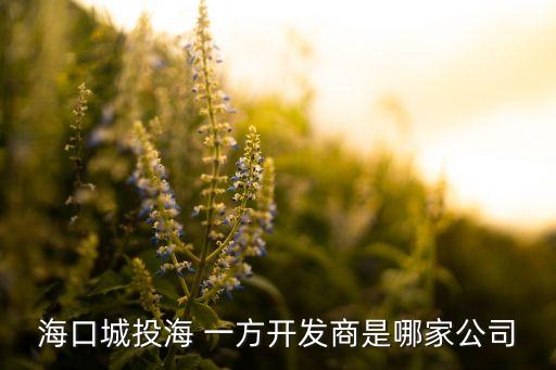 ?？诔峭逗?一方開發(fā)商是哪家公司