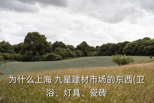 為什么上海 九星建材市場(chǎng)的東西(衛(wèi)浴、燈具、瓷磚