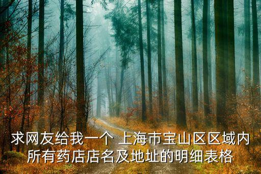 求網(wǎng)友給我一個 上海市寶山區(qū)區(qū)域內(nèi)所有藥店店名及地址的明細(xì)表格