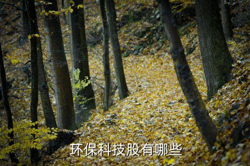  環(huán)?？萍脊捎心男? class=