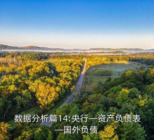  數(shù)據(jù)分析篇14:央行—資產負債表—國外負債