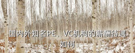 國內(nèi)外知名PE、VC機(jī)構(gòu)的薪酬待遇如何