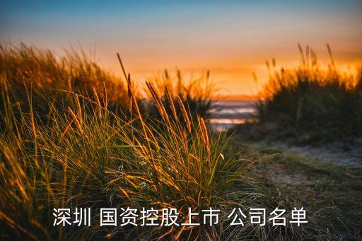 深圳 國(guó)資控股上市 公司名單