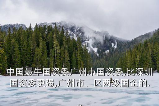 中國(guó)最牛國(guó)資委廣州市國(guó)資委,比深圳國(guó)資委更強(qiáng),廣州市、區(qū)兩級(jí)國(guó)企的...