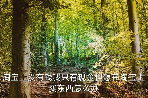 淘寶上沒(méi)有錢我只有現(xiàn)金但想在淘寶上買東西怎么辦