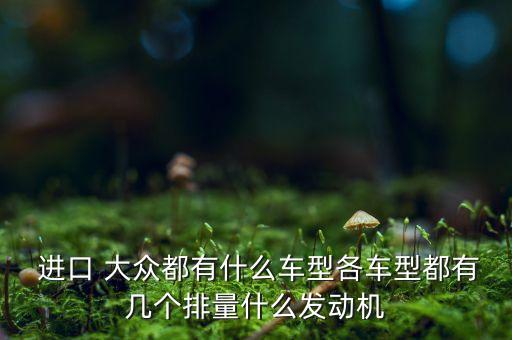  進(jìn)口 大眾都有什么車(chē)型各車(chē)型都有幾個(gè)排量什么發(fā)動(dòng)機(jī)