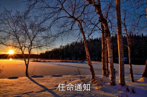 房地產公司副總經理任命書,公司副總經理任命書范本怎么寫