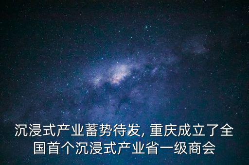 沉浸式產(chǎn)業(yè)蓄勢待發(fā), 重慶成立了全國首個(gè)沉浸式產(chǎn)業(yè)省一級商會