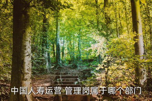 中國(guó)人壽運(yùn)營(yíng) 管理崗屬于哪個(gè)部門(mén)