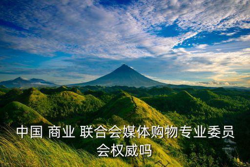 中國(guó) 商業(yè) 聯(lián)合會(huì)媒體購(gòu)物專業(yè)委員會(huì)權(quán)威嗎