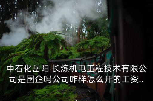 中石化岳陽(yáng) 長(zhǎng)煉機(jī)電工程技術(shù)有限公司是國(guó)企嗎公司咋樣怎么開的工資...