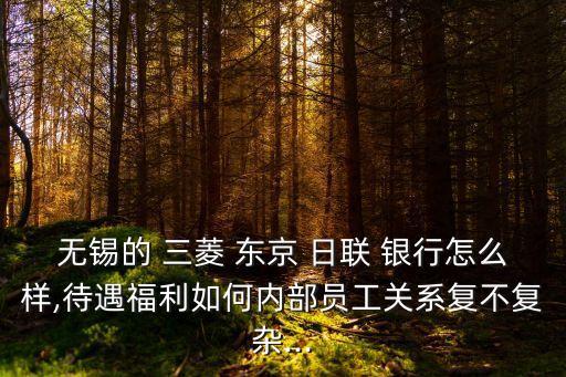 無錫的 三菱 東京 日聯(lián) 銀行怎么樣,待遇福利如何內(nèi)部員工關(guān)系復(fù)不復(fù)雜...