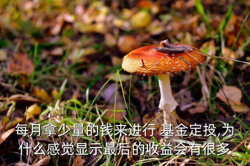 每月拿少量的錢(qián)來(lái)進(jìn)行 基金定投,為什么感覺(jué)顯示最后的收益會(huì)有很多