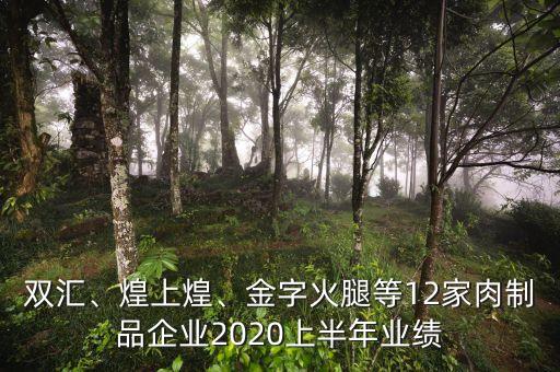 雙匯、煌上煌、金字火腿等12家肉制品企業(yè)2020上半年業(yè)績