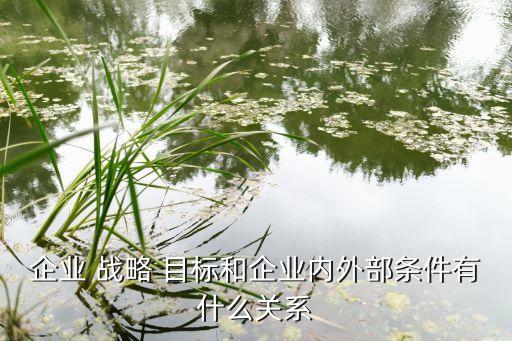 美特斯邦威集團的戰(zhàn)略目標(biāo)