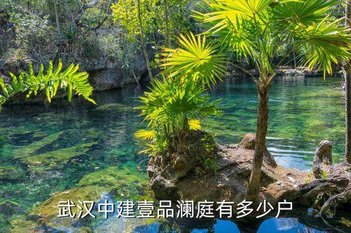 武漢中建壹品瀾庭有多少戶(hù)