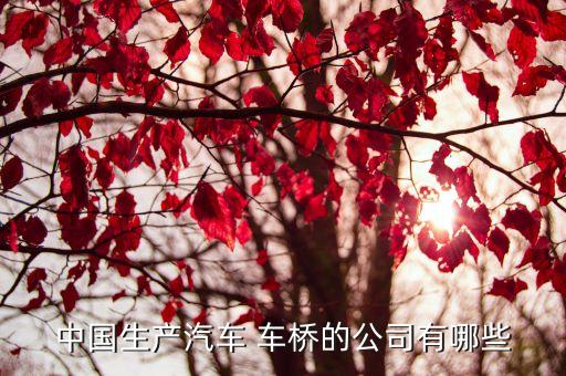 中國(guó)生產(chǎn)汽車(chē) 車(chē)橋的公司有哪些