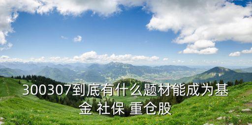 社保喜歡重倉的股票,社?；鹬貍}股票好不好