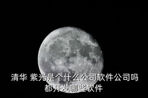  清華 紫光是個(gè)什么公司軟件公司嗎都開(kāi)發(fā)哪些軟件