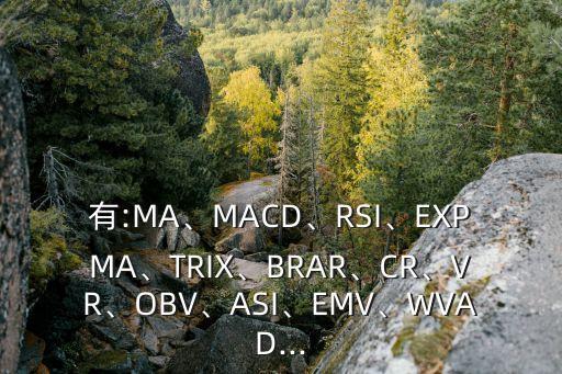 有:MA、MACD、RSI、EXPMA、TRIX、BRAR、CR、VR、OBV、ASI、EMV、WVAD...