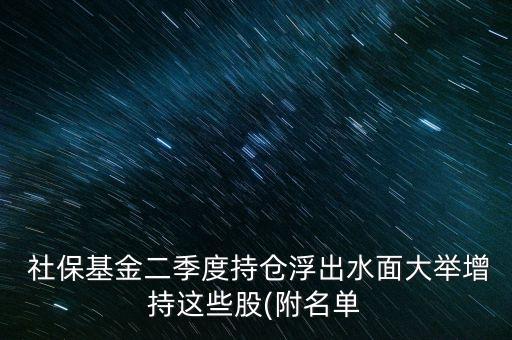  社保基金二季度持倉(cāng)浮出水面大舉增持這些股(附名單