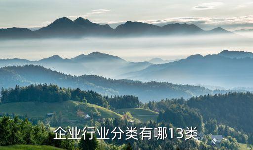 企業(yè)行業(yè)分類(lèi)有哪13類(lèi)