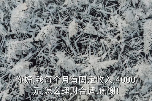 你好,我每個(gè)月有固定收入,4000元,怎么理財(cái)合適!謝謝!