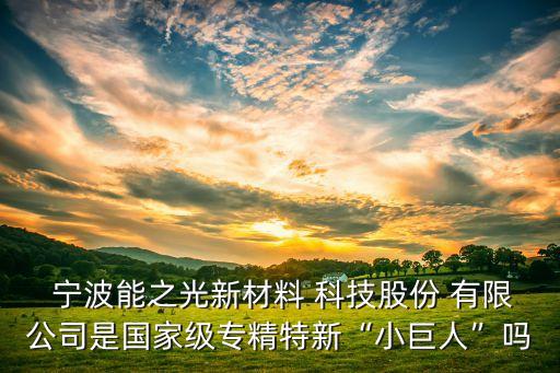  寧波能之光新材料 科技股份 有限公司是國(guó)家級(jí)專(zhuān)精特新“小巨人”嗎