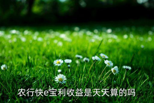 農(nóng)銀匯理紅利日結(jié)貨幣市場(chǎng)基金