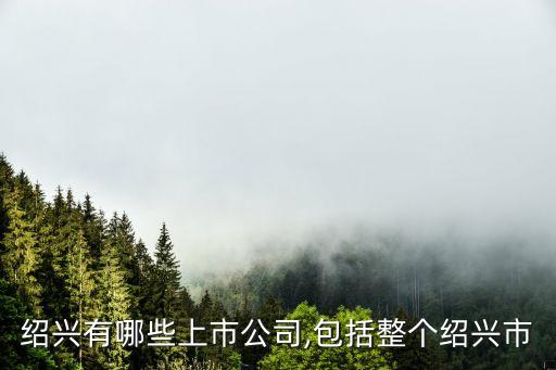 菲達(dá)環(huán)?？萍脊煞萦邢薰菊衅?浙江菲達(dá)環(huán)保科技股份有限公司最新消息